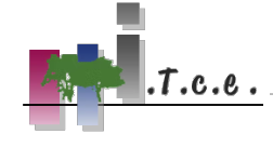 ITCE Ingénierie bâtiment et études techniques